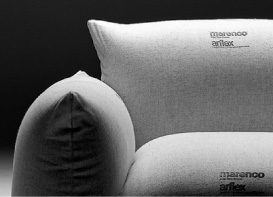 ARFLEX�C���[�W