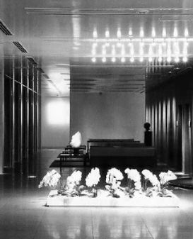 ILYA�C���[�W